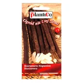 Nasiona i cebule - Skorzonera - miniaturka - grafika 1