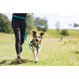 Trixie Zestaw do joggingu pas biodrowy ze smyczą rozm S-M nr kat.12765 - Zabawki dla psów - miniaturka - grafika 1