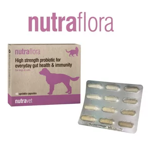 NUTRAVET Nutraflora For Dogs & Cats 48kaps - Probiotyk o wysokiej sile wspomagający codzienne zdrowie jelit i odporności - Suplementy i witaminy dla psów NUTRAVET Nutraflora For Dogs & Cats 48kaps - Probiotyk o wysokiej sile wspomagający codzienne zdrowie jelit i odporności - Suplementy i witaminy dla psów - miniaturka - grafika 2