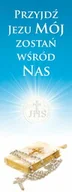 Ikony i obrazy sakralne - Baner na I Komunię Świętą "Przyjdź Jezu mój zostań wśród nas" 75x200cm - miniaturka - grafika 1