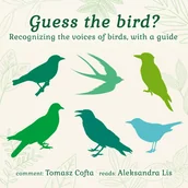 Muzyka relaksacyjna - Guest the bird ? Recognizing the voices of birds, with a guide - miniaturka - grafika 1