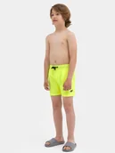 Kąpielówki dla chłopców - 4F Spodenki plażowe boardshorty chłopięce 164 (13-14 lat) - miniaturka - grafika 1