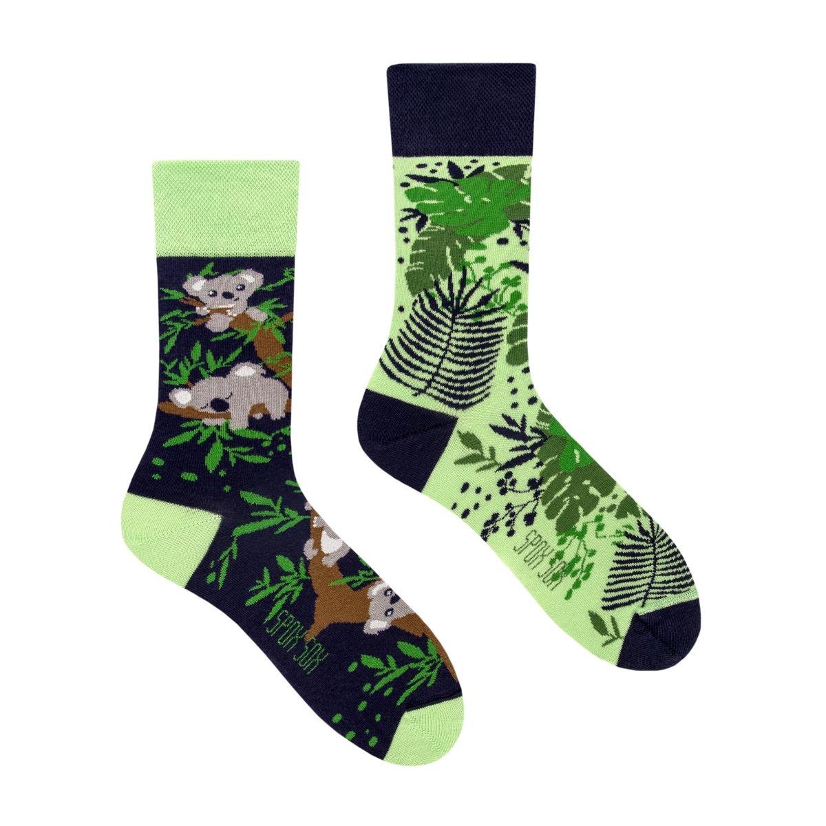 Spox Sox, Skarpety damskie, Koala, rozmiar 36-39