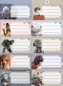 Szkolne artykuły papiernicze - Naklejki na zeszyty pasek The Sweet Pets - Beniamin - miniaturka - grafika 1