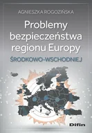 Podręczniki dla szkół wyższych - Problemy bezpieczeństwa regionu Europy Środkowo-Wschodniej - Agnieszka Rogozińska - książka - miniaturka - grafika 1