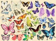 Puzzle - Puzzle 1000 elementów układanka 50x60cm Motyle kolorowe - miniaturka - grafika 1