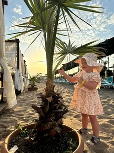 Sukienka NOVELLA organic z krótkim rękawem pink botanics - Sukienki i spódniczki dla dziewczynek - miniaturka - grafika 1