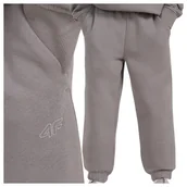 Dresy i komplety dla chłopców - Spodnie dresowe chłopięce 4F 4FJWAW25TTROM1245-22S Czarny Roz. 152 - 4F JUNIOR - miniaturka - grafika 1