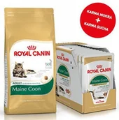 Mokra karma dla kotów - Royal Canin Maine Coon Adult 31 2kg + 12x Maine Coon Adult saszetka 85g Sos) 16648-uniw - miniaturka - grafika 1