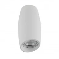 Systemy inteligentnych domów - Azzardo VASKO SMART WIFI AZ3940 downlight natynkowy 1x5W/GU10 IP20 2700K-6500K AZZAZ3940 - miniaturka - grafika 1