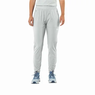 Damskie spodnie turystyczne Jack Wolfskin PRELIGHT CHILL PANTS W cool grey - L - Spodnie sportowe damskie - miniaturka - grafika 1