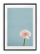 Plakaty - Plakat A4 21x30 cm  Roślina Kwiat Natura  WZORY - miniaturka - grafika 1