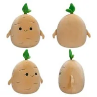 Maskotki i pluszaki - Pluszowa maskotka Squishmallows Jyri Tan Ginseng 19 cm Jazwares - miniaturka - grafika 1