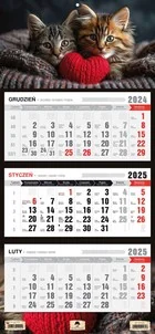 Kalendarz 2025 trójdzielny kotki kt1âv.63 - Kalendarze - miniaturka - grafika 1