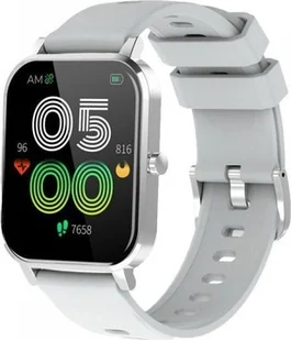 Denver SW-181 Szary (Denver SW-181 GREY) - Smartwatch - miniaturka - grafika 1
