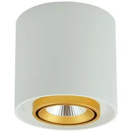 Lampy sufitowe - Polux Oprawa natynkowa LED XENO okrągła 3000K 15W 1200lm biały-złoty 312051 SANICO 312051 - miniaturka - grafika 1