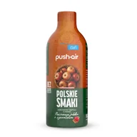 Syropy i koncentraty owocowe - PushAir Koncentrat do Wody Pieczone Jabłko Cynamon Syrop Dafi 500 ml - miniaturka - grafika 1