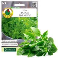 Nasiona i cebule - Nasiona bazylia Fine Verde 0 5 g - miniaturka - grafika 1