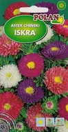 Nasiona i cebule - Aster półpełny Iskra zestaw kolorów 1 g POLAN - miniaturka - grafika 1
