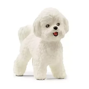 Pies Bichon Frise - SCHLEICH - Figurki dla dzieci - miniaturka - grafika 1