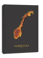 Obrazy i zdjęcia na płótnie - Norwegia mapa złota - obraz na płótnie Wymiar do wyboru: 30x40 cm - miniaturka - grafika 1