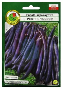 Odmiana wczesna, karłowa. Strąki barwy fioletowej, długie, lekko wygięte, bezwłókniste. - Nasiona i cebule - miniaturka - grafika 1