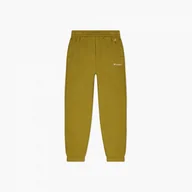 Spodnie sportowe męskie - Męskie spodnie dresowe CHAMPION ROCHESTER ECO FUTURE Long Pants - miniaturka - grafika 1
