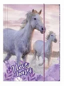 Teczki i skoroszyty - Teczka z gumką A4 Konie 25 Derform DF-TGA4KO25-04062 - miniaturka - grafika 1