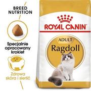 Sucha karma dla kotów - Royal Canin Ragdoll Adult 0,4 kg - miniaturka - grafika 1