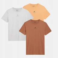Koszulki męskie - T-SHIRT KOSZULKA MĘSKA 4F ZESTAW KOMPLET 3 SZTUKI - miniaturka - grafika 1