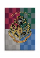 Koce i narzuty dla dzieci - Koc Polarowy Narzuta Harry Potter Hogwarts 100X140 - miniaturka - grafika 1