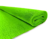 Szkolne artykuły papiernicze - Bibuła marszczona krepa krepina nr 22 j zielony - miniaturka - grafika 1