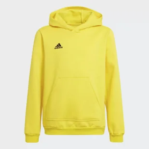 Bluza piłkarska dla dzieci adidas Entrada 22 Hoody - Piłka nożna - miniaturka - grafika 1
