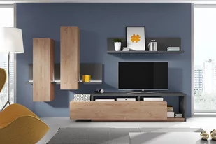 Szafka RTV Bota 40 - antracyt / dąb ribbec - Szafki RTV - miniaturka - grafika 3