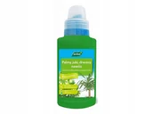 Nawozy ogrodnicze - Westland Nawóz płynny do palm, juk i dracen 250ml - miniaturka - grafika 1