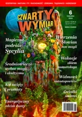 Czasopisma - Czwarty Wymiar 62024 - miniaturka - grafika 1