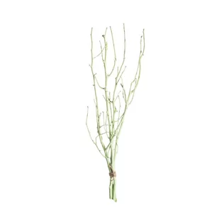 Gałązka Leszczyny 50cm light green, 10 x 10 x 50 cm - Sztuczne kwiaty - miniaturka - grafika 1