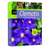 Dom i ogród - Marczyński Szczepan Clematis i inne pnącza ogrodowe - miniaturka - grafika 1