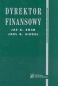 Finanse, księgowość, bankowość - Dyrektor Finansowy - miniaturka - grafika 1