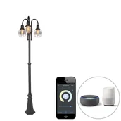 Lampy ogrodowe - QAZQA Inteligentna lampa zewnętrzna czarna 3-punktowa IP44 z Wifi ST64 - Guardado - miniaturka - grafika 1