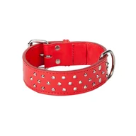 Smycze dla psów - Dingo Halsband Leder Dekorativer Duble Grundnahrungsmittel Gefüttert Mit Leder Chrom Beschlägen - miniaturka - grafika 1