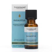 Aromaterapia - Tisserand Eucalyptus Ethically Harvested - Olejek Eukaliptusowy (20 ml) - miniaturka - grafika 1