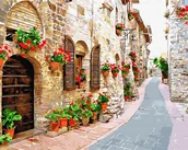 Malowanie po numerach - Artnapi 40x50cm Obraz Do Malowania Po Numerach Na Drewnianej Ramie - Flower Street - miniaturka - grafika 1