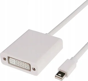 Pawonik Adapter AV DisplayPort Mini - DVI-I biały - Złącza, przejściówki, adaptery - miniaturka - grafika 1