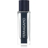Wody i perfumy męskie - Salvatore Ferragamo Ferragamo EDT 30ml - miniaturka - grafika 1