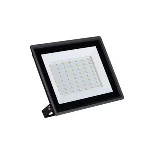 Naświetlacz LED GRUN NV 50 W - Oprawy, klosze i abażury - miniaturka - grafika 1