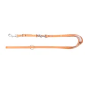 Smycze dla psów - Dingo Skórzana przedłużana nitowana 2.0/110-200cm z wymiennym karabińczykiem Beżowa 10259 10259 - miniaturka - grafika 1