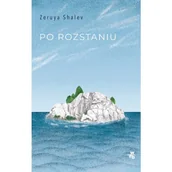 Literatura obyczajowa - Po rozstaniu - miniaturka - grafika 1