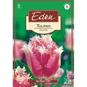 Nasiona i cebule - Tulipan strzępiasty Fancy Frills 6 sztuk Eden - miniaturka - grafika 1