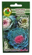 Nasiona i cebule - Roślina jednoroczna, której ozdobą są różnobarwne liście, oryginalnie fryzowane i karbowane - miniaturka - grafika 1